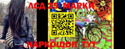 эйфоретик Славгород