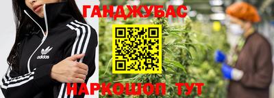 трава Сланцы
