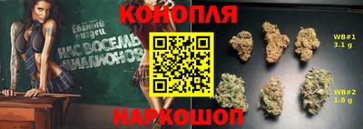 трава Сланцы