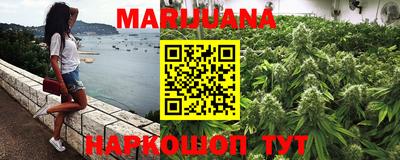 трава Сланцы