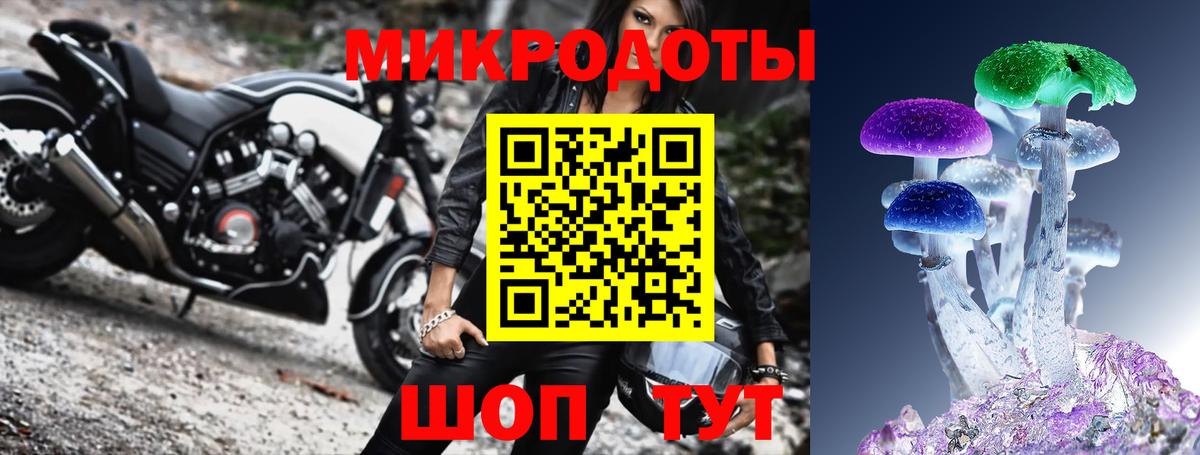 Псилоцибиновые грибы Psilocybe  Галлюциногенные грибы MAGIC MUSHROOMS  Вход с VPN  Россошь 