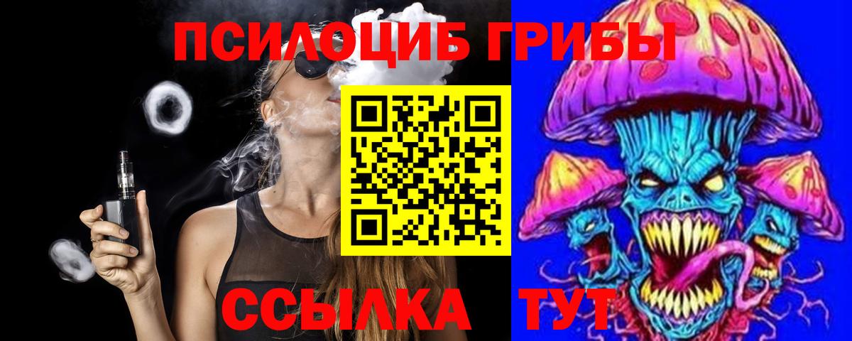 Галлюциногенные грибы Psilocybine cubensis Россошь